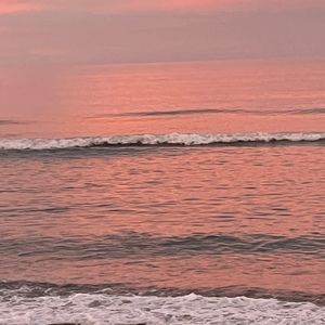 Meet your Posher, Maya